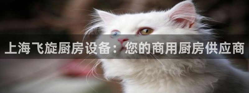 尊龙凯时网站赌愽是真的吗：上海飞旋厨房设备：您的商用厨房供应