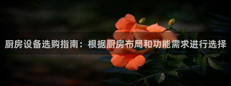 尊龙凯时网娱乐最新版下载
