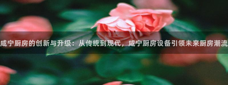 尊龙app最新版本官网