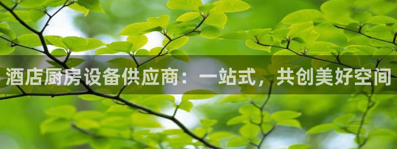 尊龙凯时代理