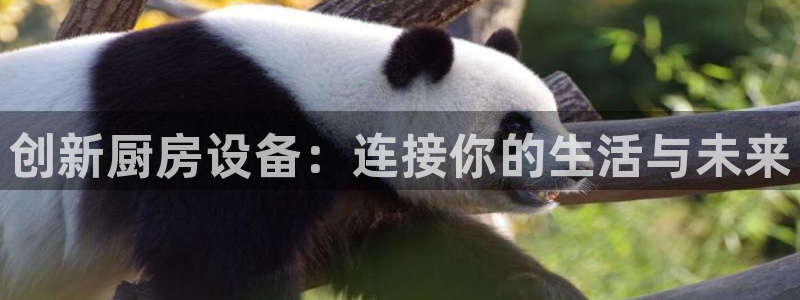 尊龙app官网登录