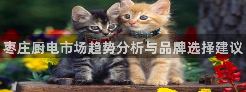 凯时国际官方版