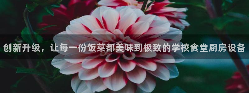 尊龙凯时俱乐部