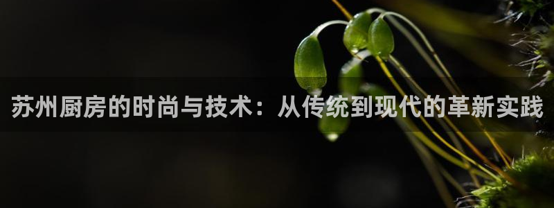 尊龙凯时取钱很慢