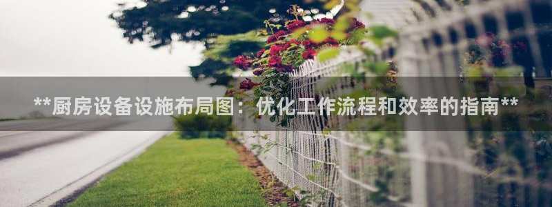 尊龙一人生就是博电子游戏：**厨房设备设施布局图：优化工作流