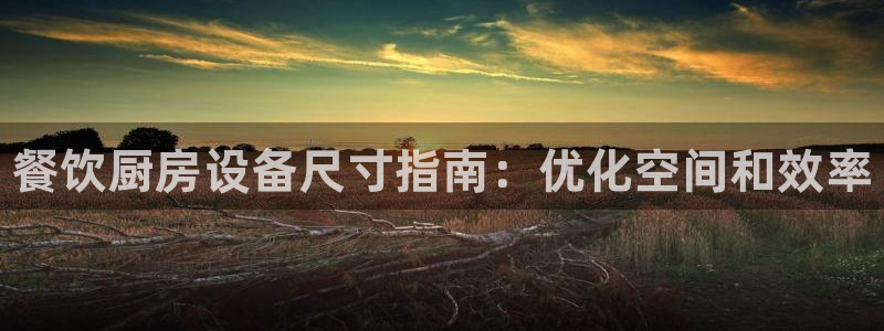 尊龙实业：餐饮厨房设备尺寸指南：优化空间和效率