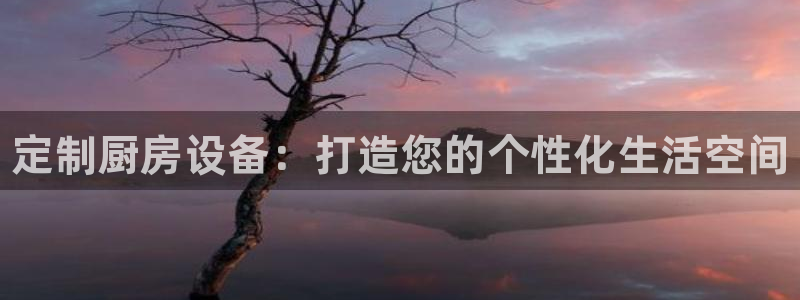 尊龙人生就是博首页入口