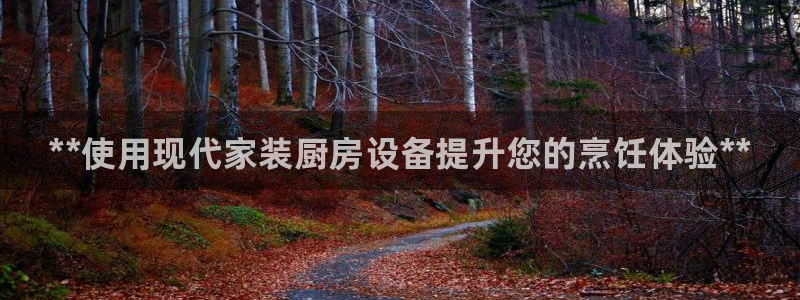 尊龙贴吧：**使用现代家装厨房设备提升您的烹饪体验**