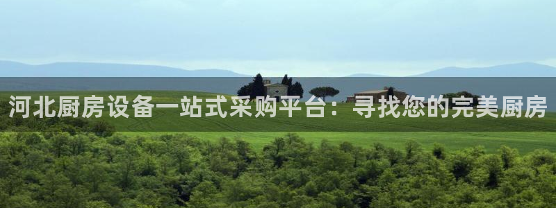 尊龙2016：河北厨房设