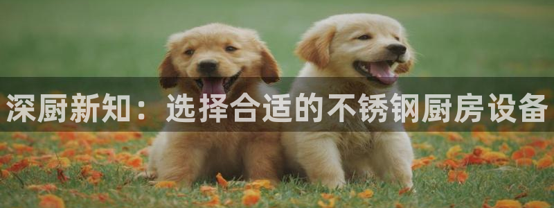 尊龙凯时账号异常审核提不了款怎么办