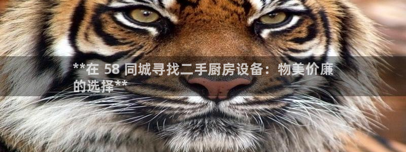 尊龙人生就是博旧版：**