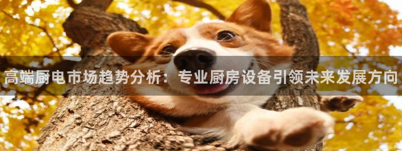 尊龙网址苹果版下载