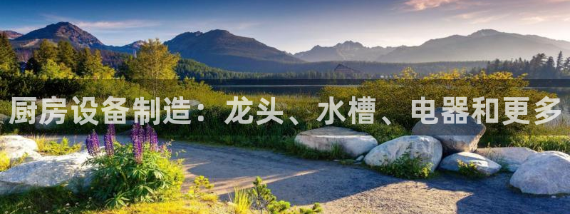 尊龙凯时处理未到账:厨房设备制造:龙头、水槽、电器和更多