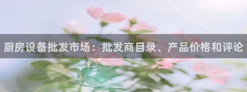 凯时ag旗舰厅网址是什么：厨房设备批发市场：批发商目录、产品