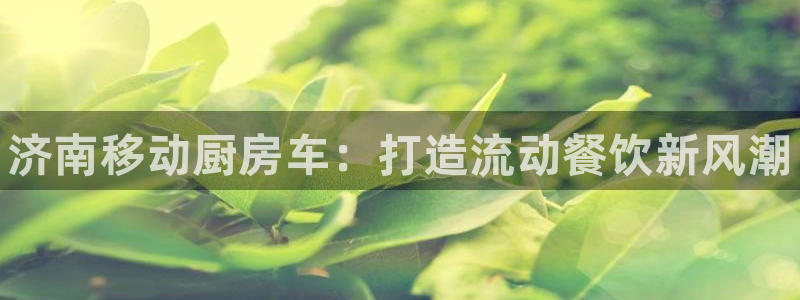 最新凯时官网网址：济南移
