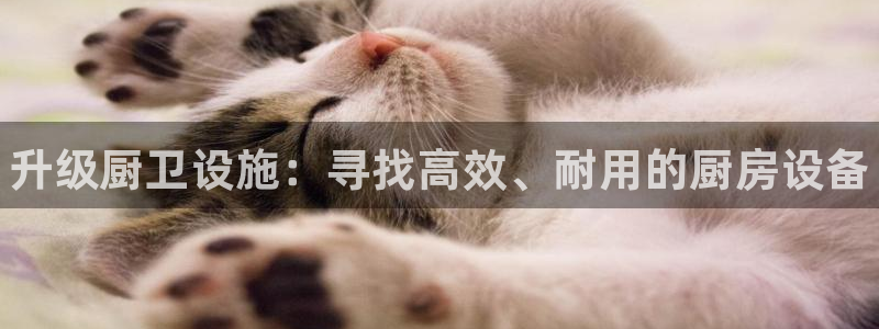 尊龙凯时网站怎么样