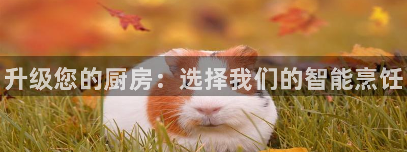 尊龙凯时老板是谁