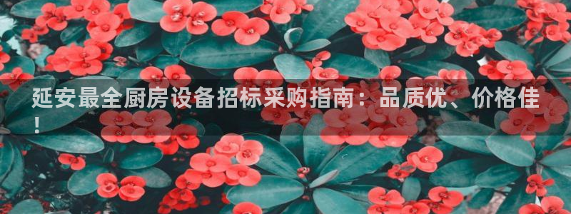 尊龙凯时能提现吗：延安最全厨房设备招标采购指南：品质优、价格