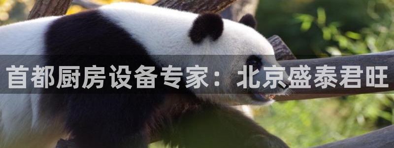 尊龙2021年最新消息：