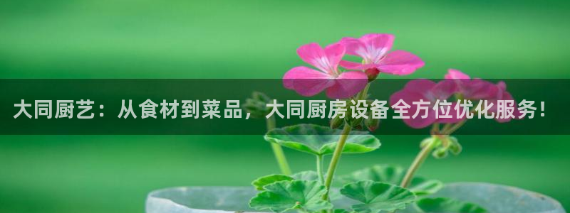 尊龙实业有限公司