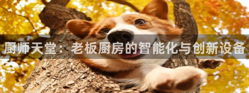 尊龙凯时下载官方正版