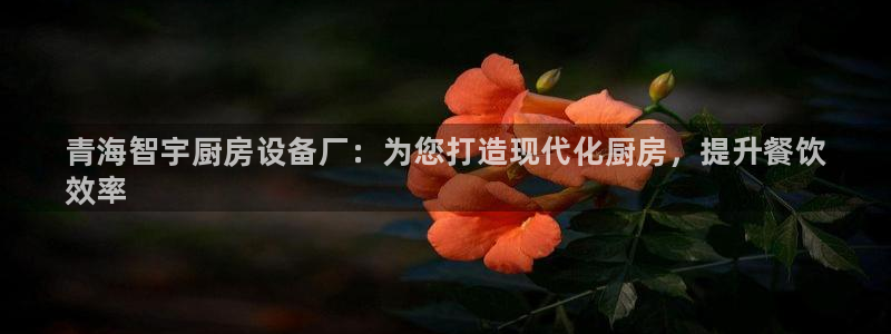 尊龙AG旗舰店：青海智宇